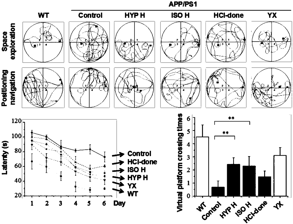 Application of compound to treatment of senile dementia through protein accumulation reduction