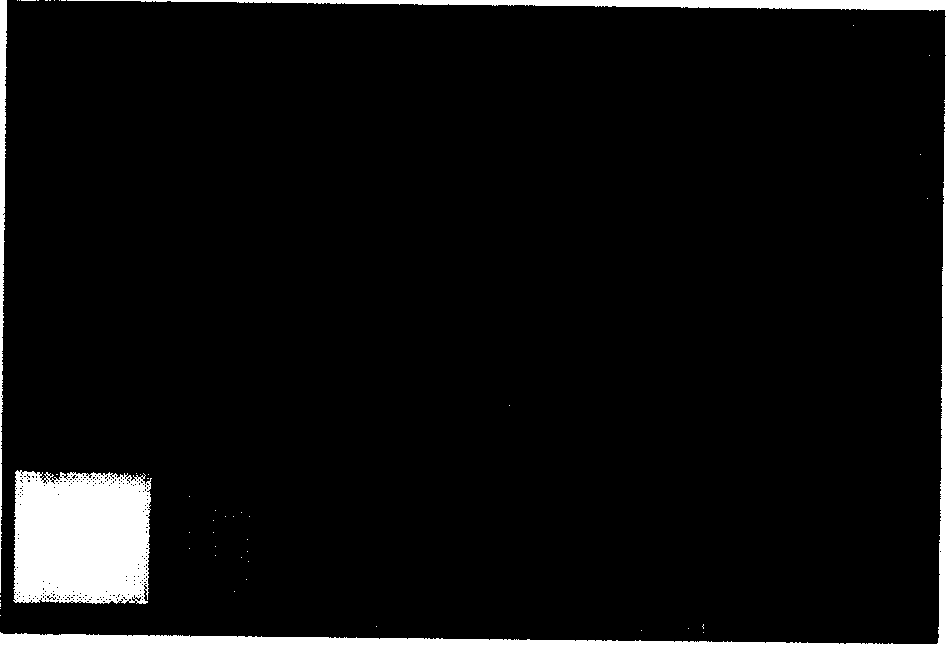 Method for checking digital camera color reduction