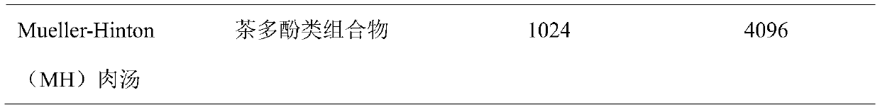 Tea polyphenol composition and application thereof in preparing anti-streptococcus-suis medicines