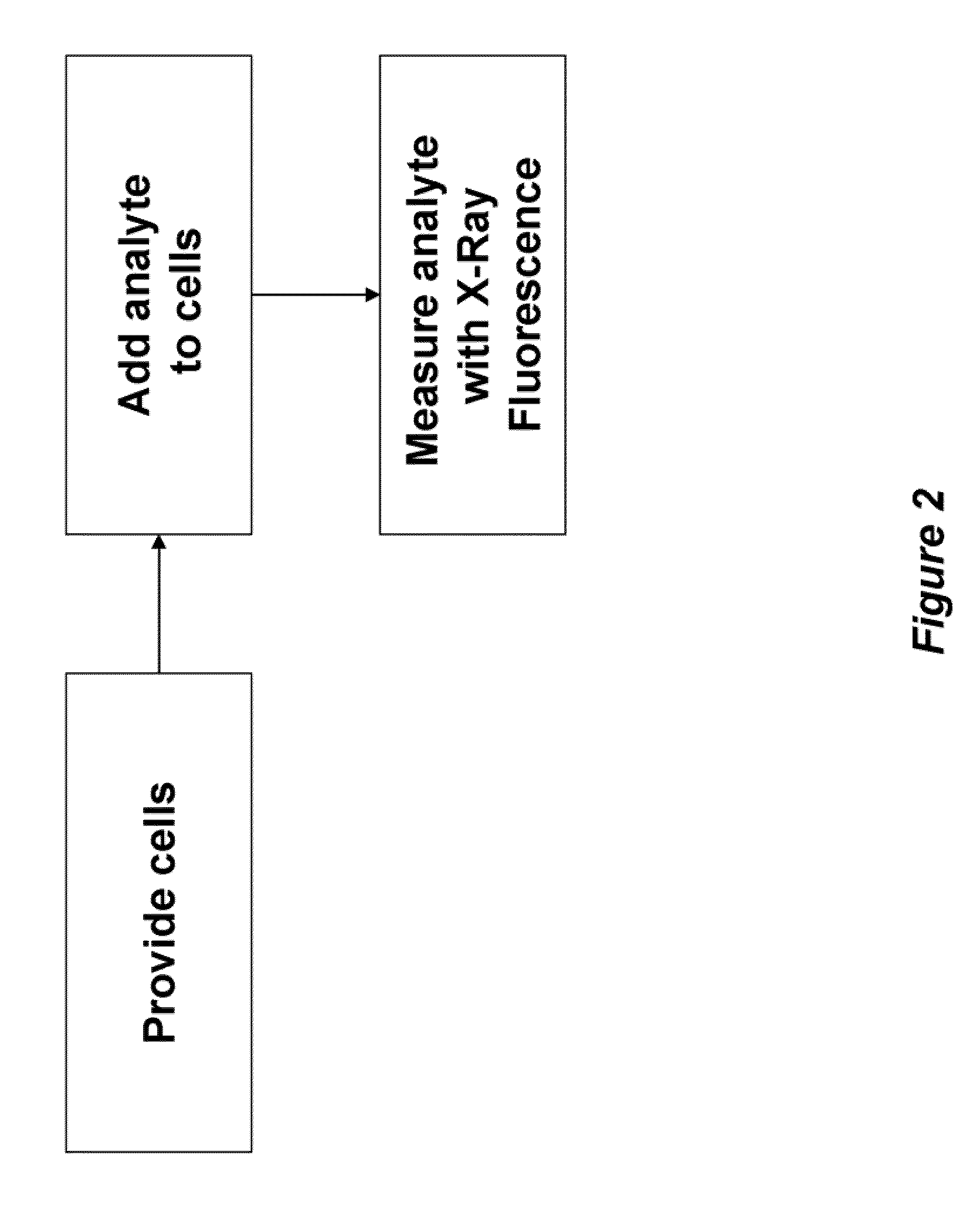 Method and apparatus for measuring analyte transport across barriers using x-ray fluorescence