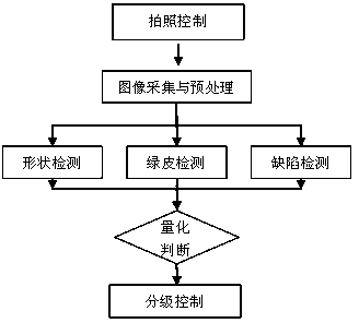 Intelligent potato sorting method and apparatus