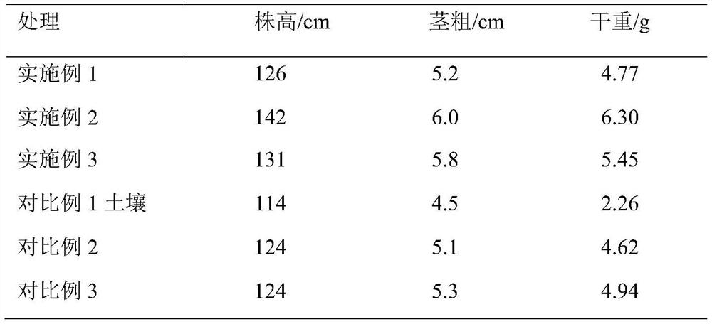 Watermelon culture medium formula and preparation method thereof