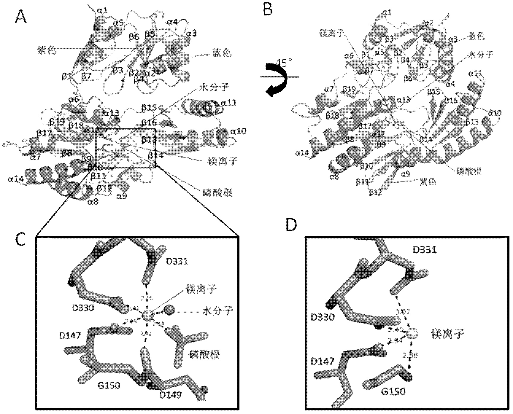 Expression and purification of Mycobacterium tuberculosis trehalose-6-phosphate phosphatase OtsB2, and crystalline three-dimensional structure of complex of Mycobacterium tuberculosis trehalose-6-phosphate phosphatase OtsB2 and phosphoric acid