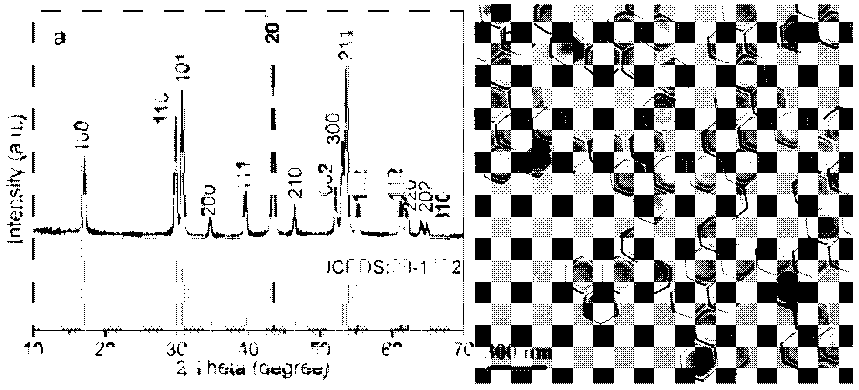 Bioluminescent nanoparticle with 800-nanometer strong near infrared up-conversion emission characteristic and application thereof