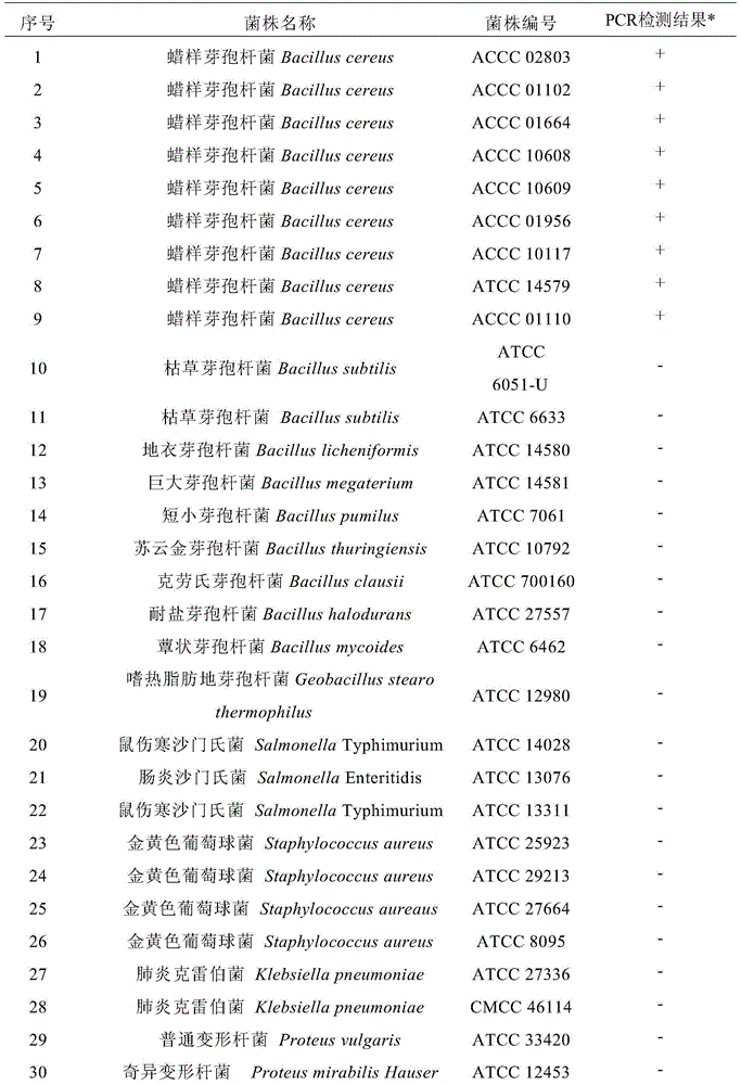 A detection method and kit for Bacillus cereus