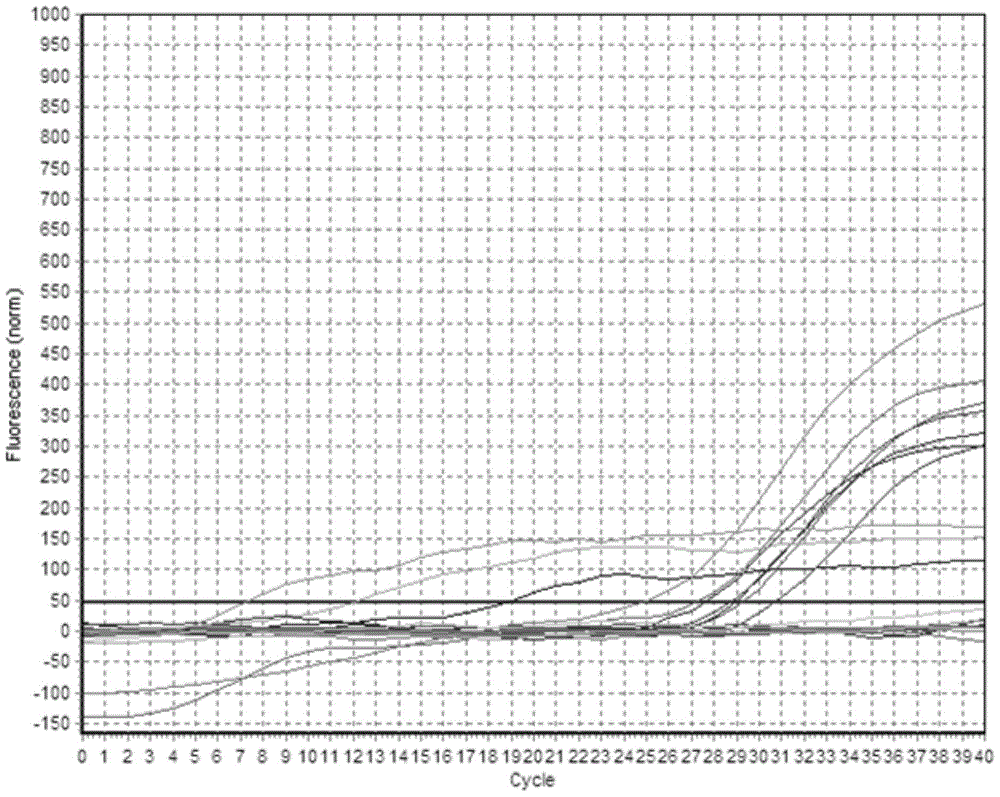 A detection method and kit for Bacillus cereus