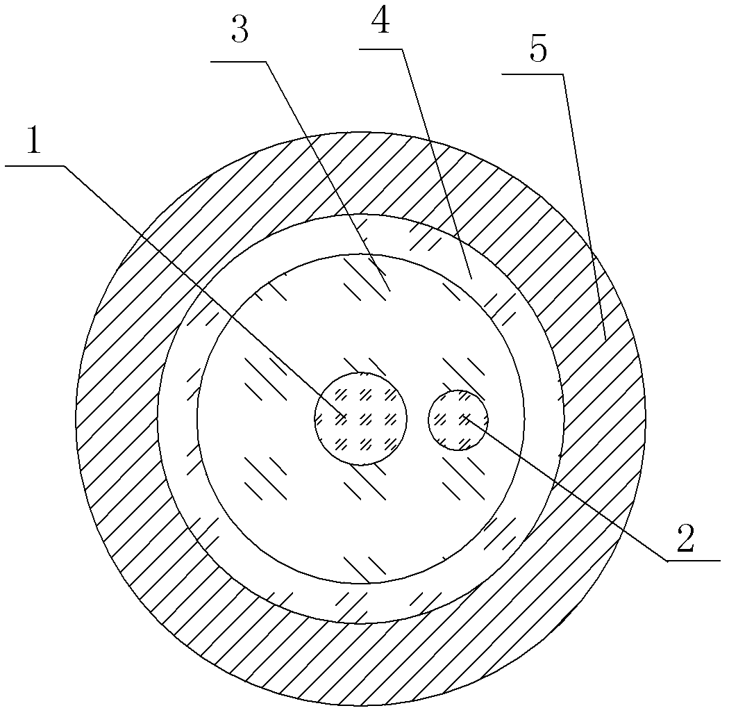 Distributed type sensing device based on double-core double-wrapping layer optical fiber