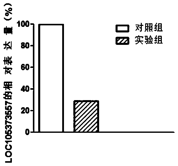 Biomarker related to occurrence and development of Parkinson's disease