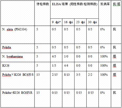 Method for identifying tobacco resistance by use of tomato spotted wilt virus NSm gene