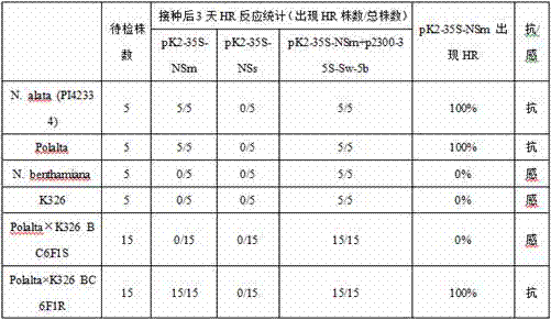 Method for identifying tobacco resistance by use of tomato spotted wilt virus NSm gene