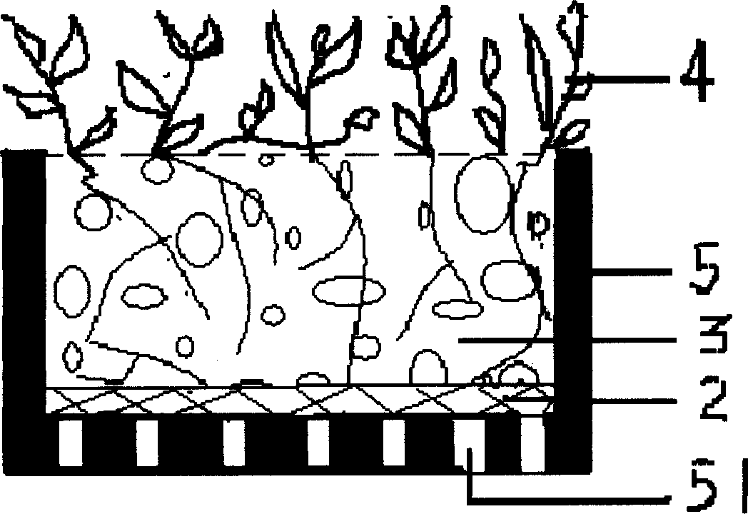 Greening seedling block on light roof and primary lawn-making method