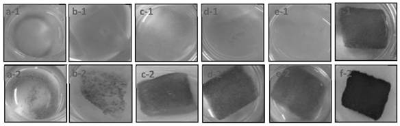 Collagen melanocyte compound as well as preparation method and application thereof