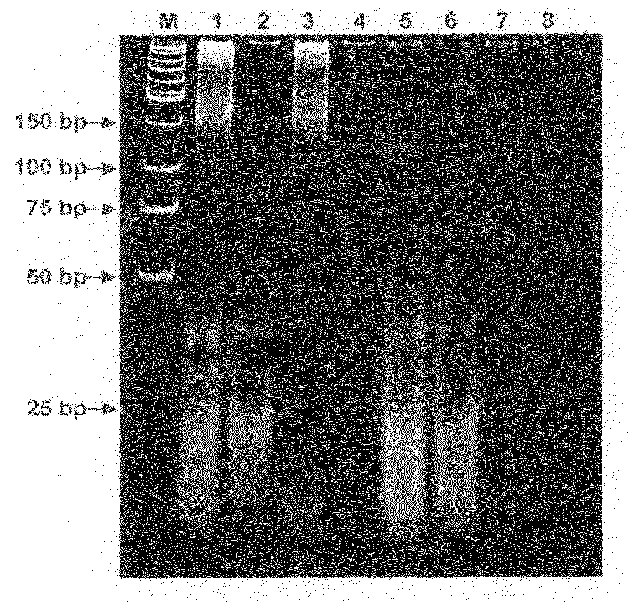 Methods of using miRNA for detection of in vivo cell death