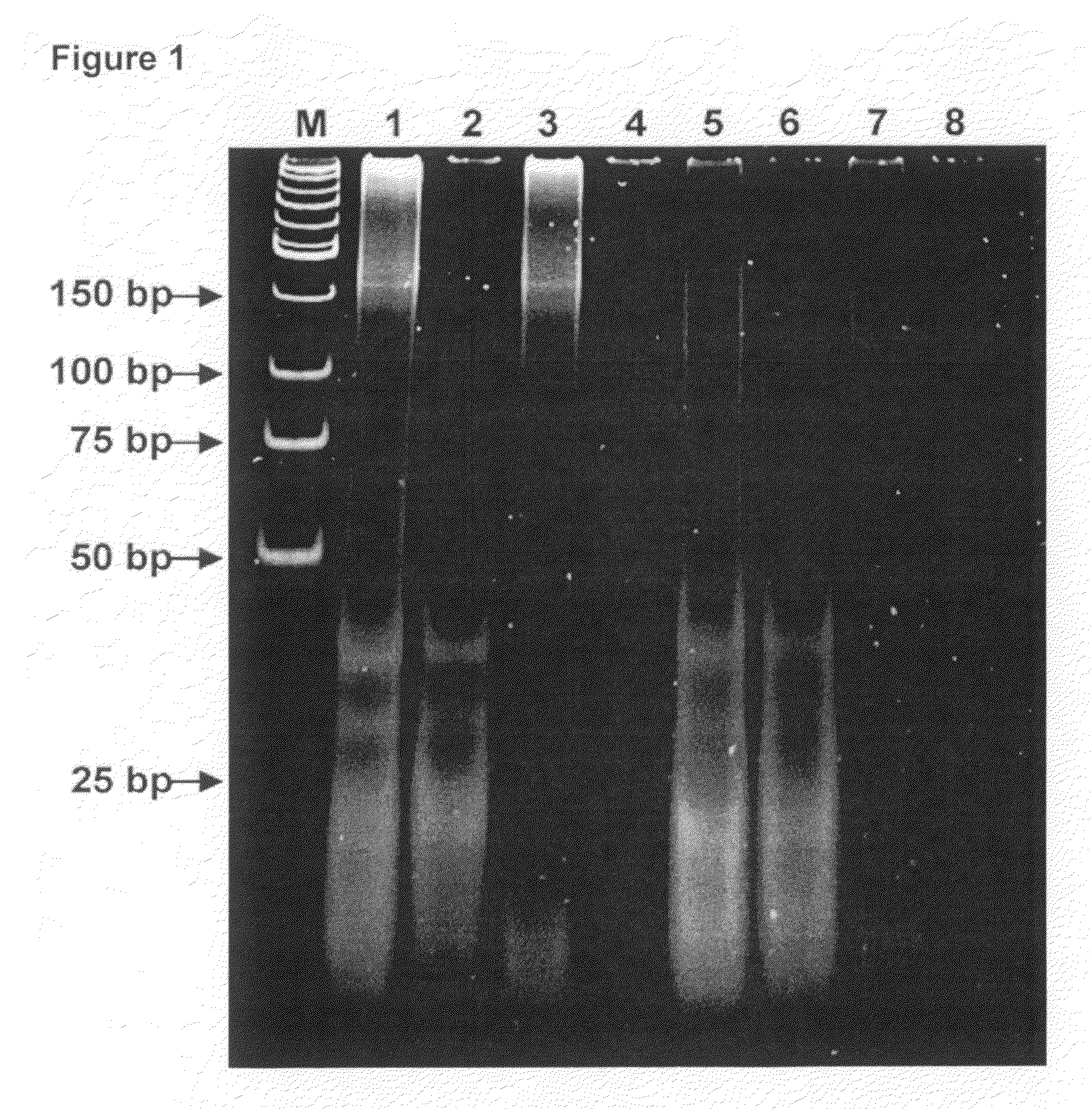 Methods of using miRNA for detection of in vivo cell death