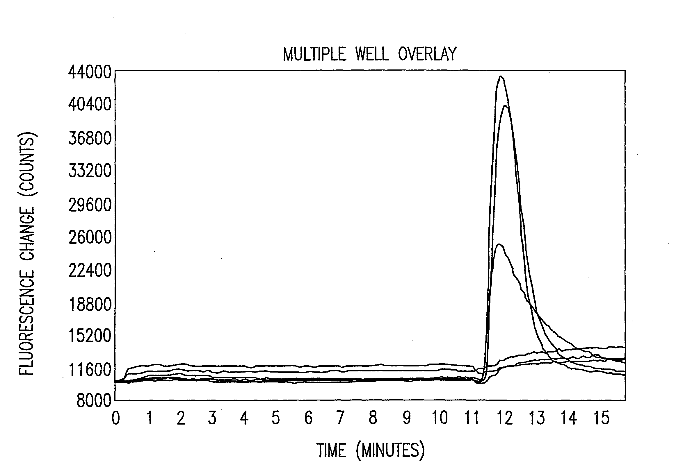 Nucleic Acids Encoding a Functional Mammalin Purinoreceptor, P2X3, Methods of Production and Use Thereof