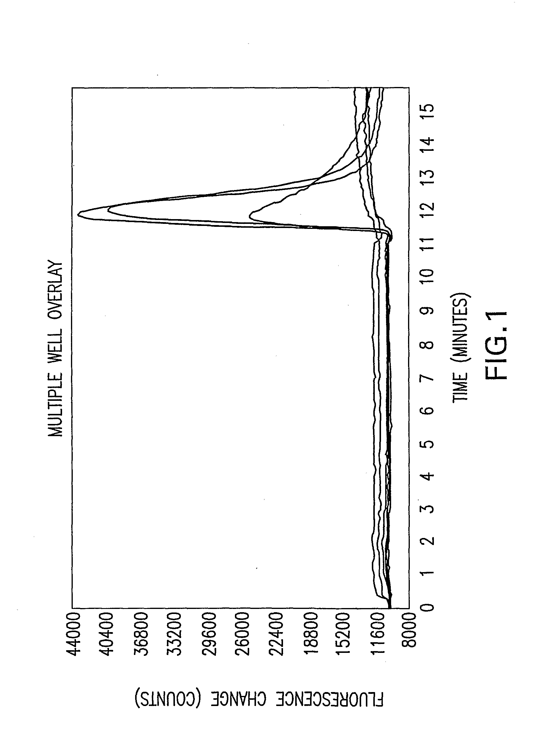 Nucleic Acids Encoding a Functional Mammalin Purinoreceptor, P2X3, Methods of Production and Use Thereof