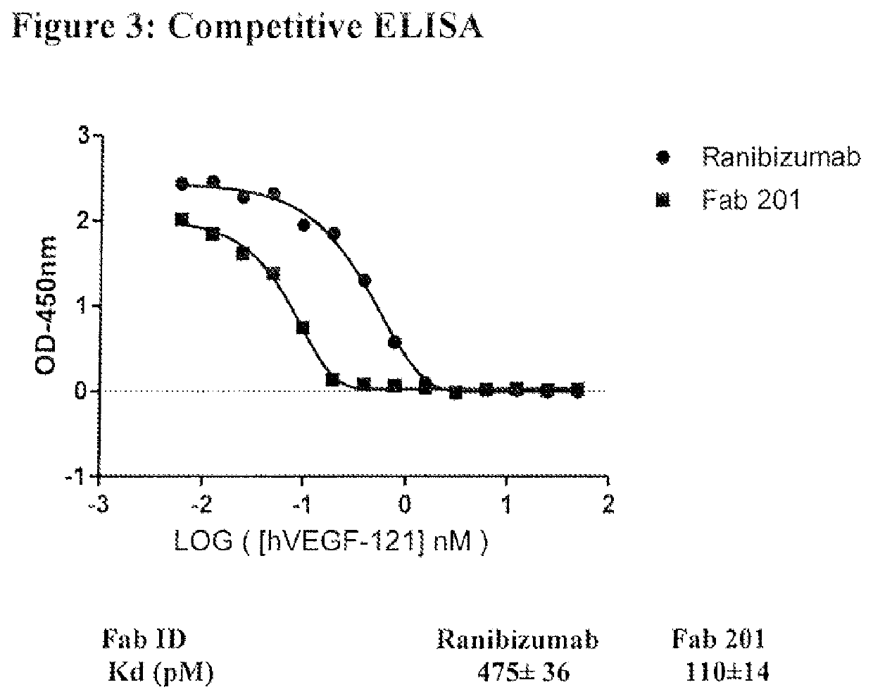 Synthetic antibodies against VEGF and their uses