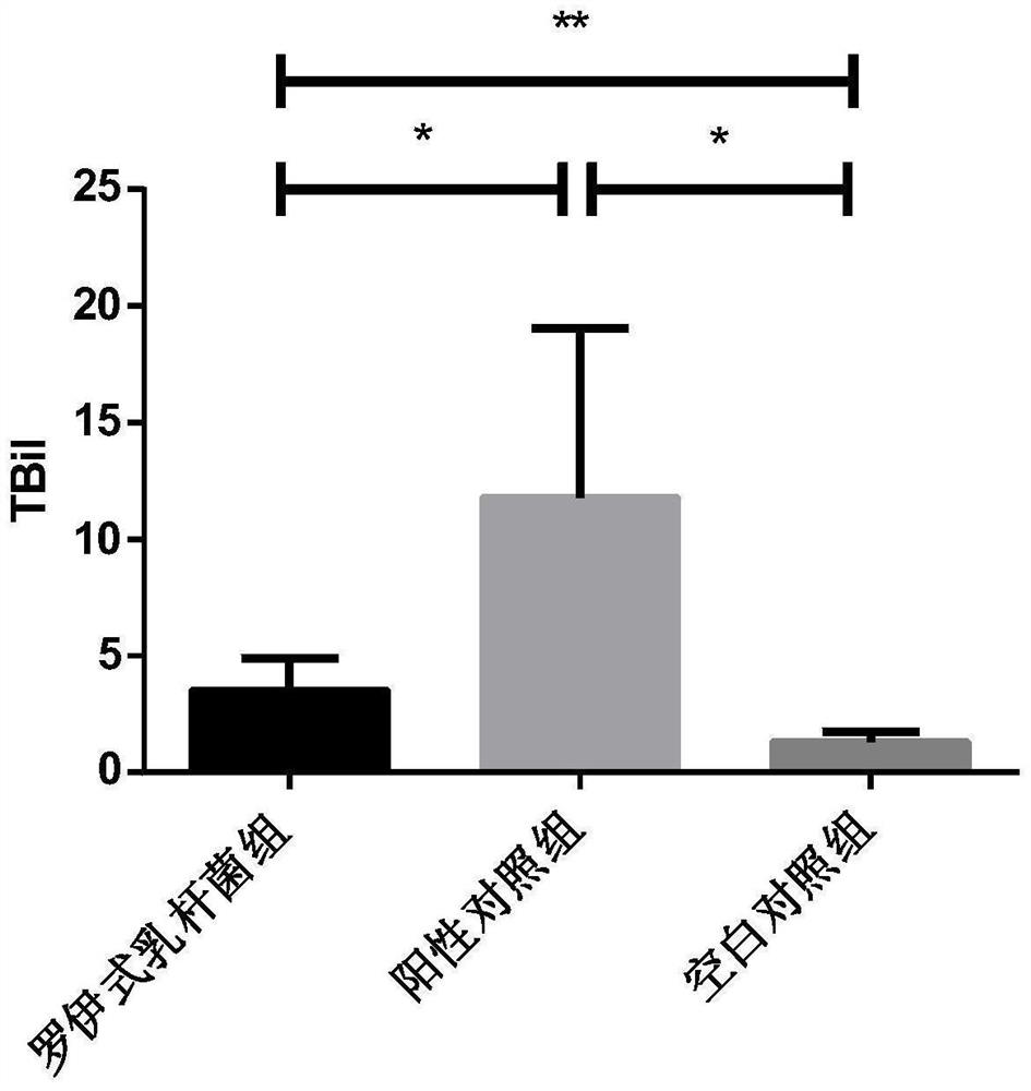 Application of lactobacillus reuteri in preparation of medicine for treating acute hepatic failure (AHF)