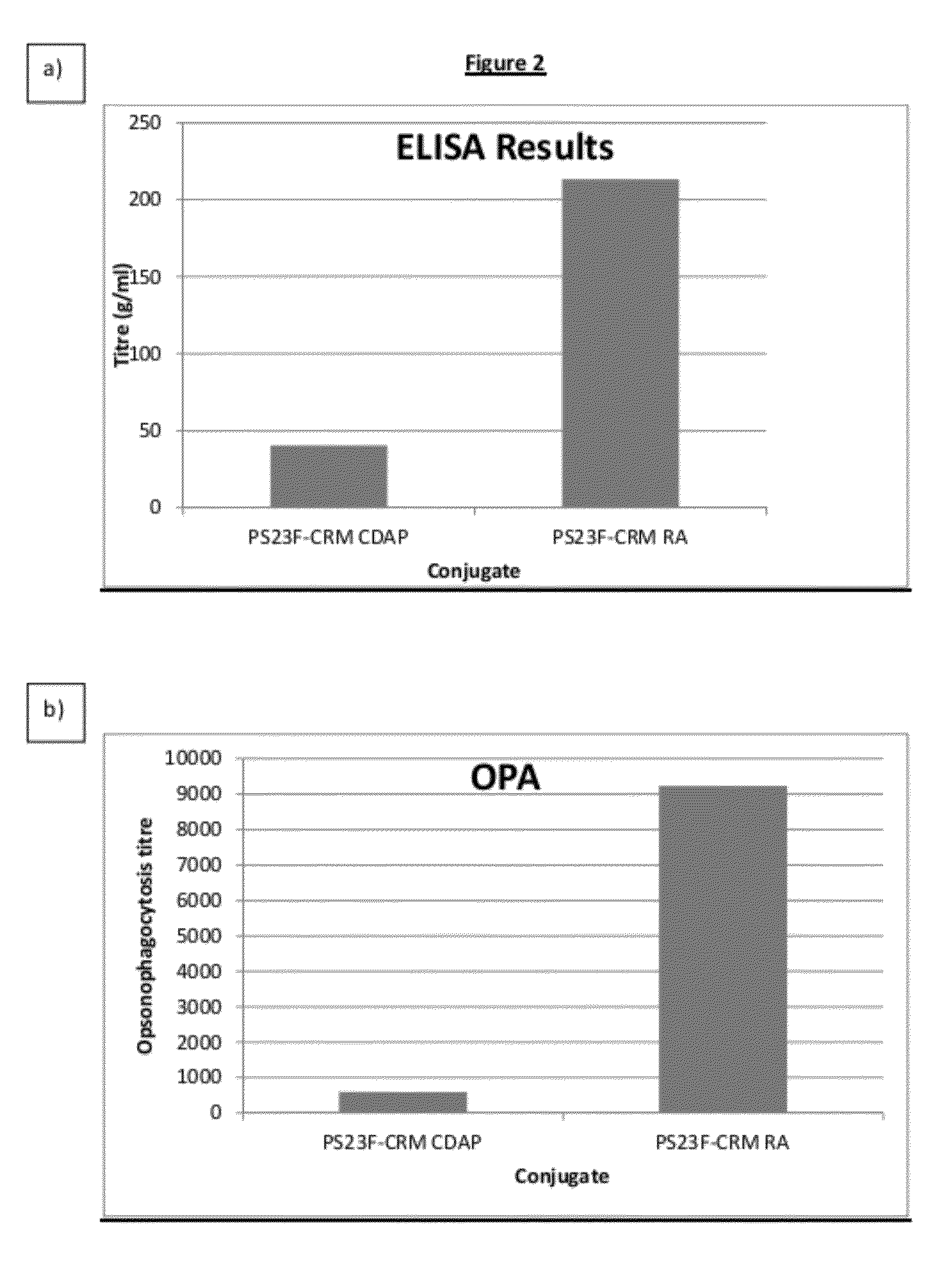 Conjugation process of bacterial polysaccharides to carrier proteins