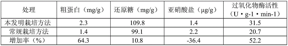 High-efficiency cultivation method of grafted Hangzhou eggplant in mountainous region