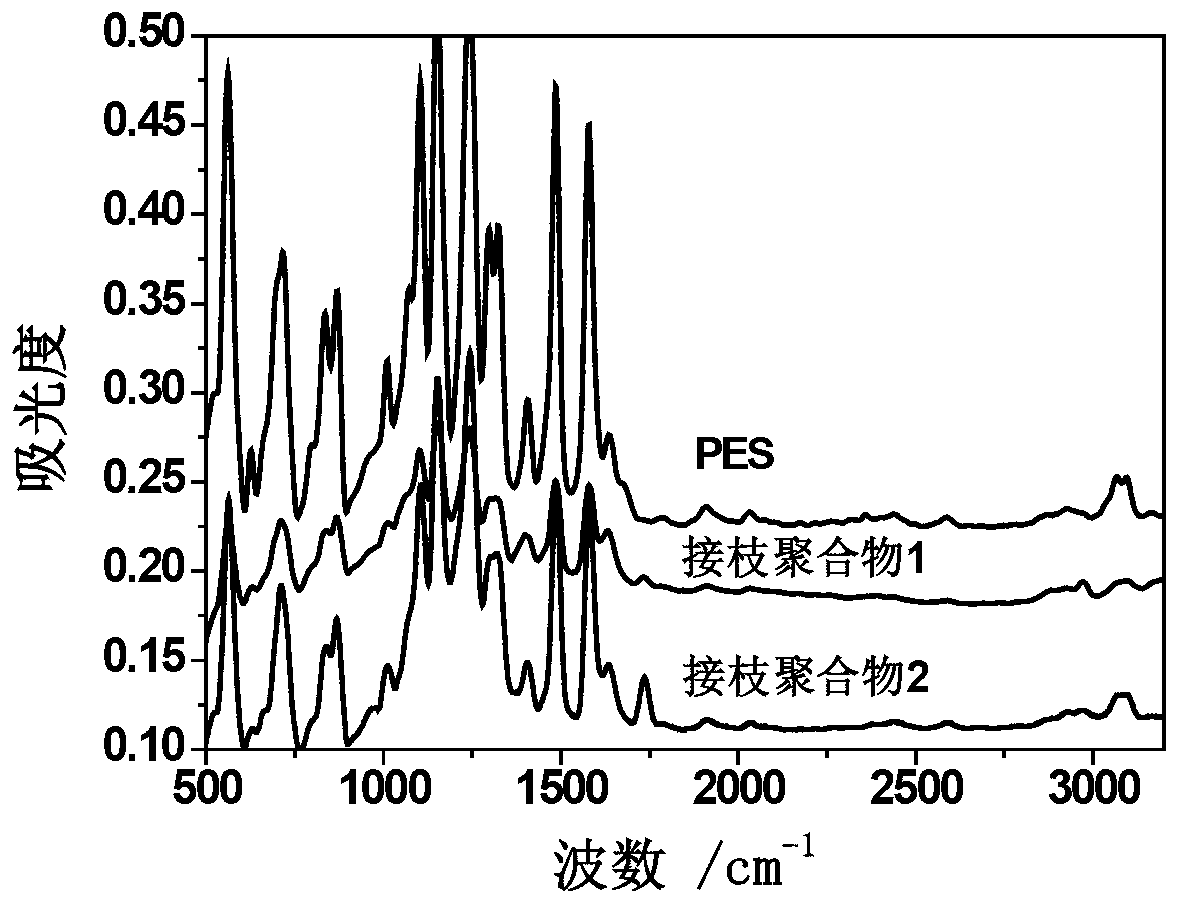 Preparation method of hydrophobic porous separation membrane