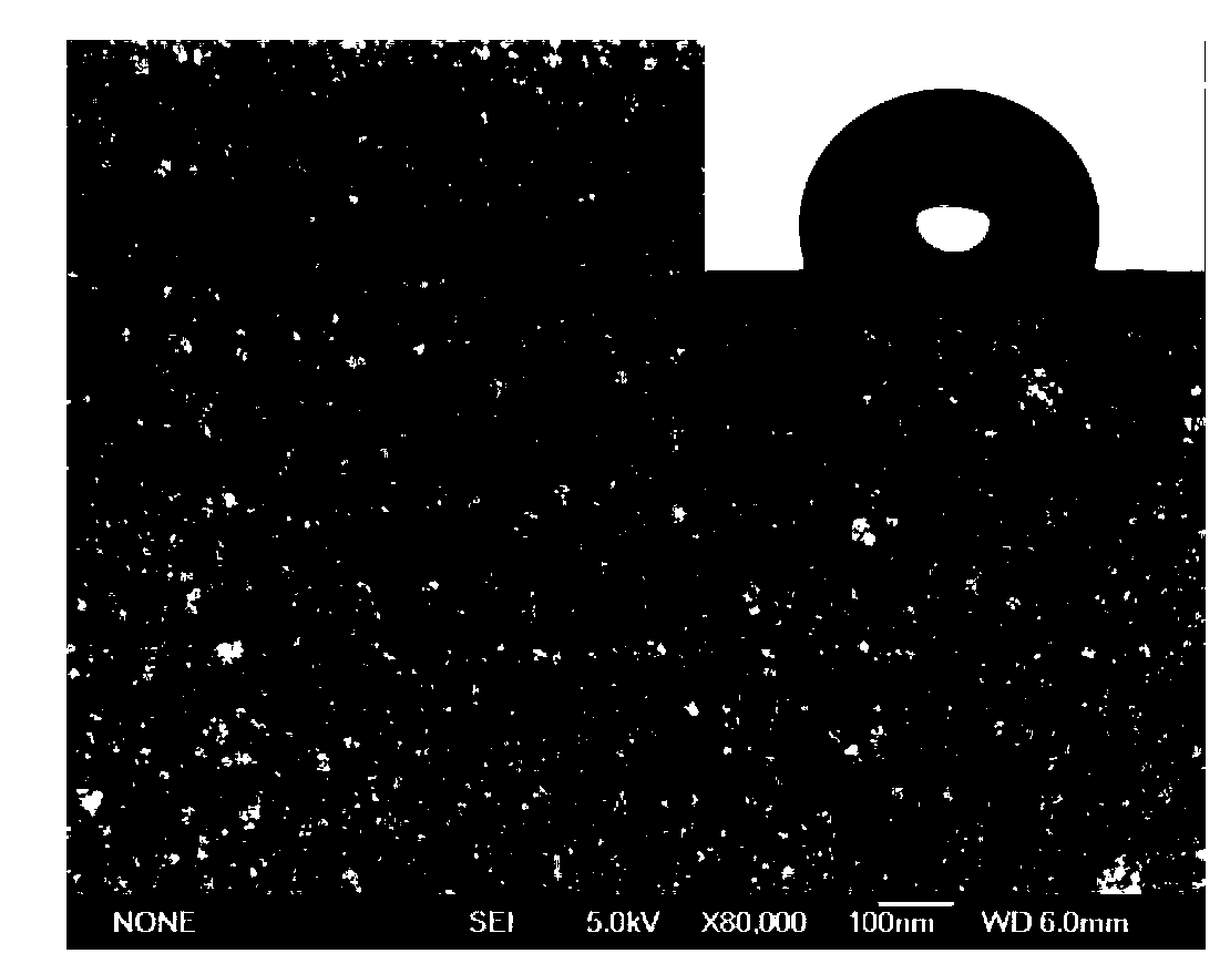 Preparation method of hydrophobic porous separation membrane