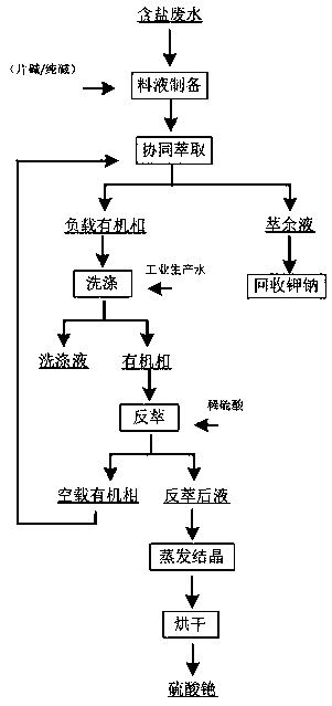 Method for preparation cesium sulfate from salt-containing wastewater