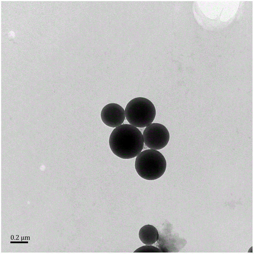 Nano-polymer capsules embedded with oxygen-sensitive fluorescent indicator as well as preparation and application thereof