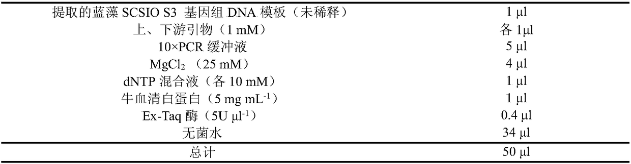 A strain of pseudoantaba scsio S3 and its application