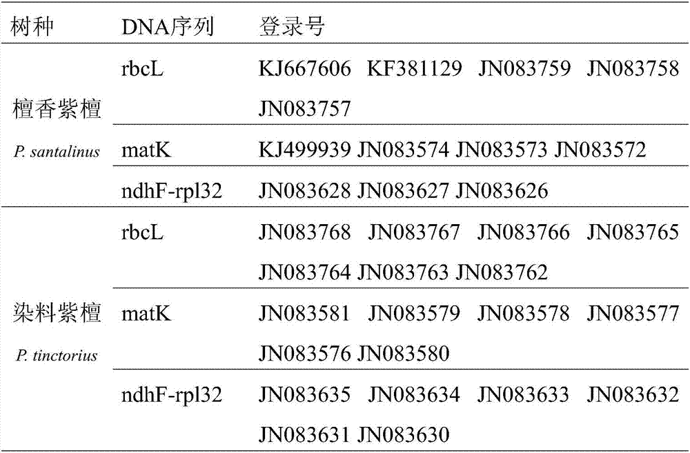 Miniature DNA (deoxyribonucleic acid) bar code for identifying pterocarpus santalinus and pterocarpus tinctorius, and identifying method and application of identifying method