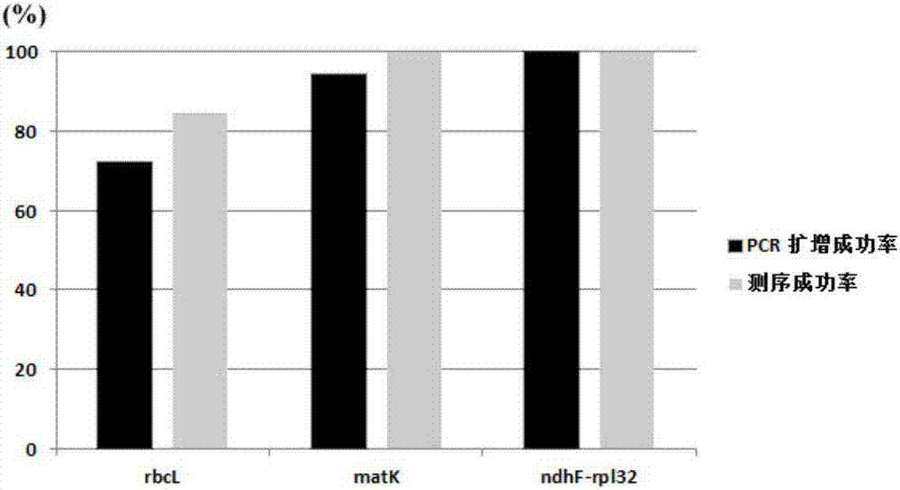 Miniature DNA (deoxyribonucleic acid) bar code for identifying pterocarpus santalinus and pterocarpus tinctorius, and identifying method and application of identifying method