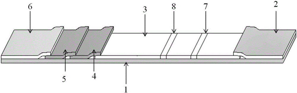 Immunochromatographic assay test paper strip for quantitatively detecting carcino-embryonic antigen (CEA) and preparation method thereof