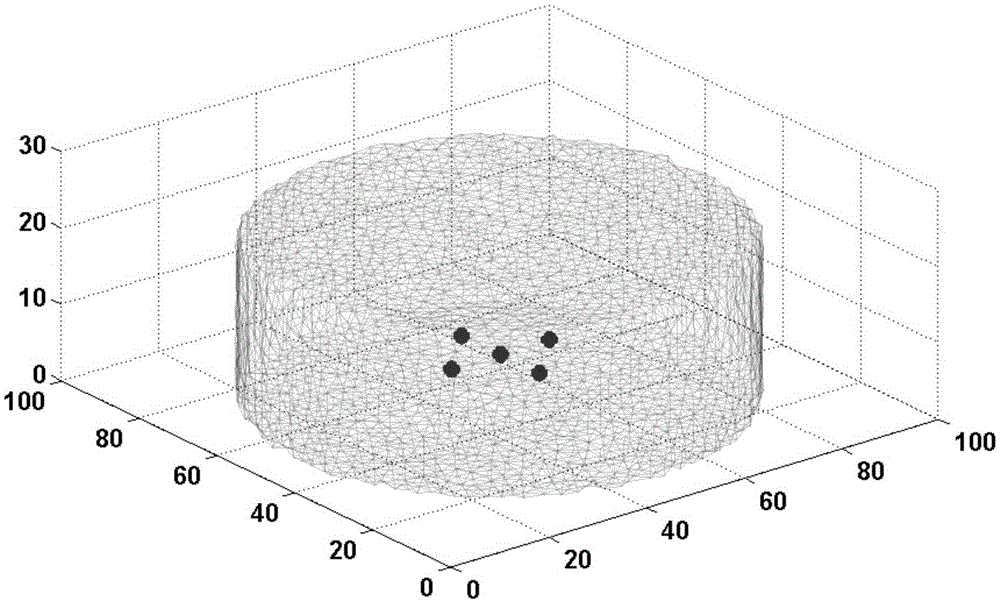 Bioluminescence tomography reconstruction method based on multi-light-source resolution