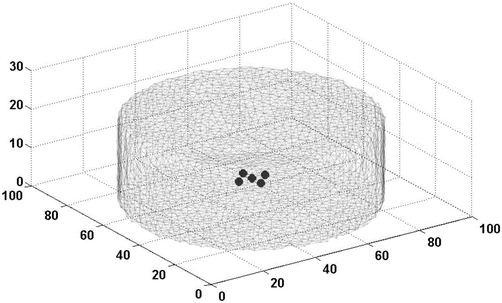 Bioluminescence tomography reconstruction method based on multi-light-source resolution