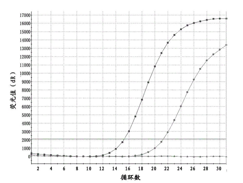 Primer, probe and detection kit for detection of EML4-ALK fusion gene mutation