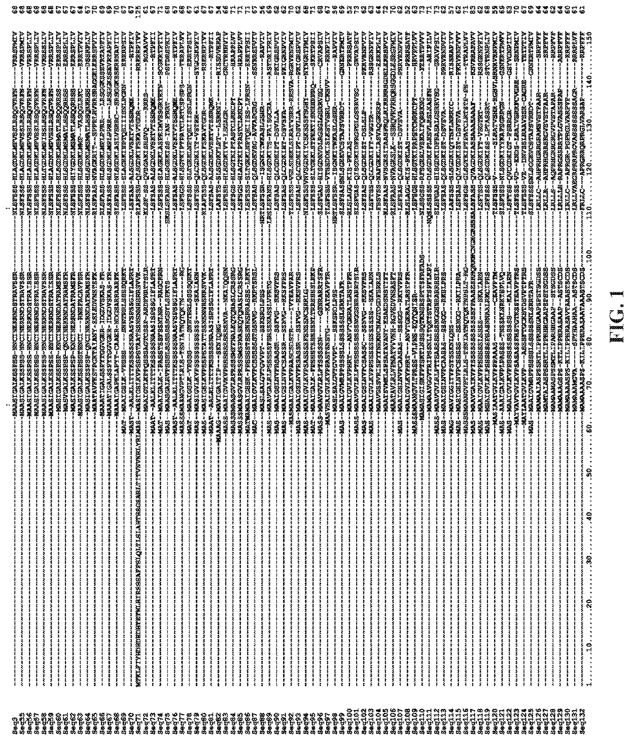 Increasing plant growth and yield by using an ADP-glucose pyrophosphorylase sequence