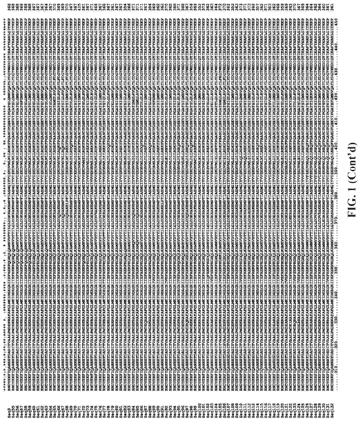 Increasing plant growth and yield by using an ADP-glucose pyrophosphorylase sequence