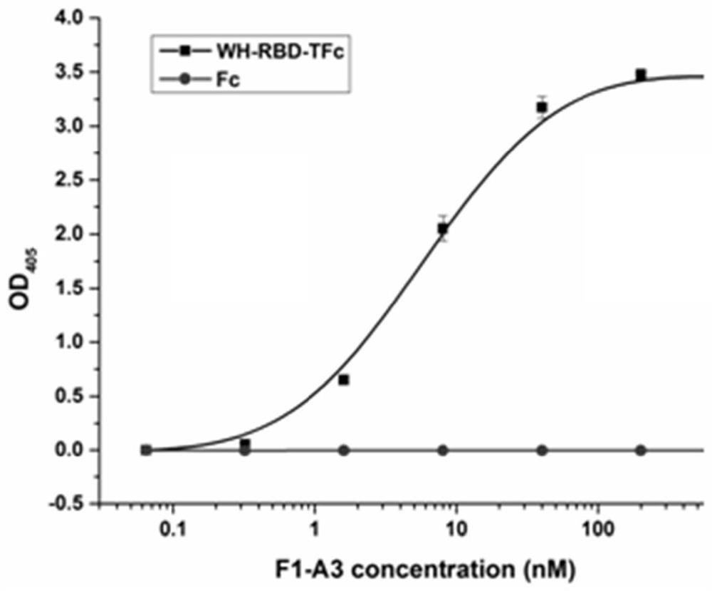 Neutralizing human monoclonal antibody aiming at novel coronavirus and application thereof