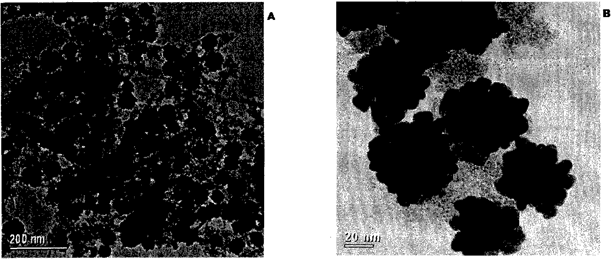 Magnetic relaxation switch based on Fe304@Au and detection method thereof