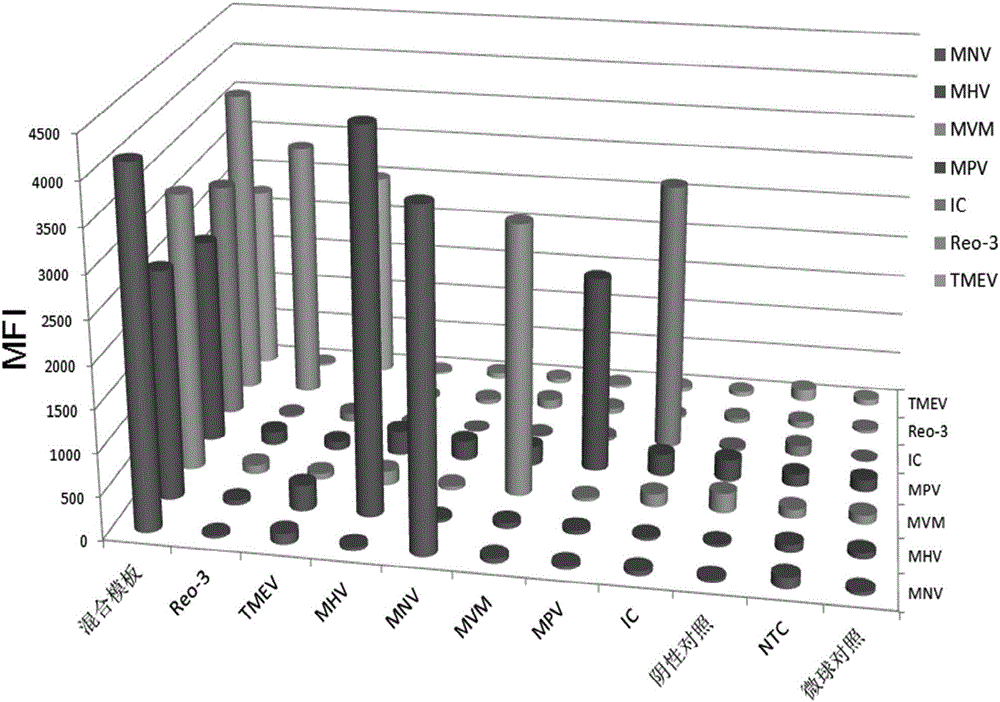 Primer group, kit and method for detecting six mouse viruses by multiple immunity fluorescence