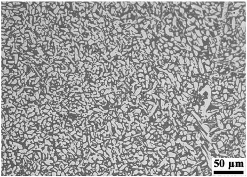 Heat treatment technology of high-strength and high-plasticity ferrite-austenite duplex stainless steel