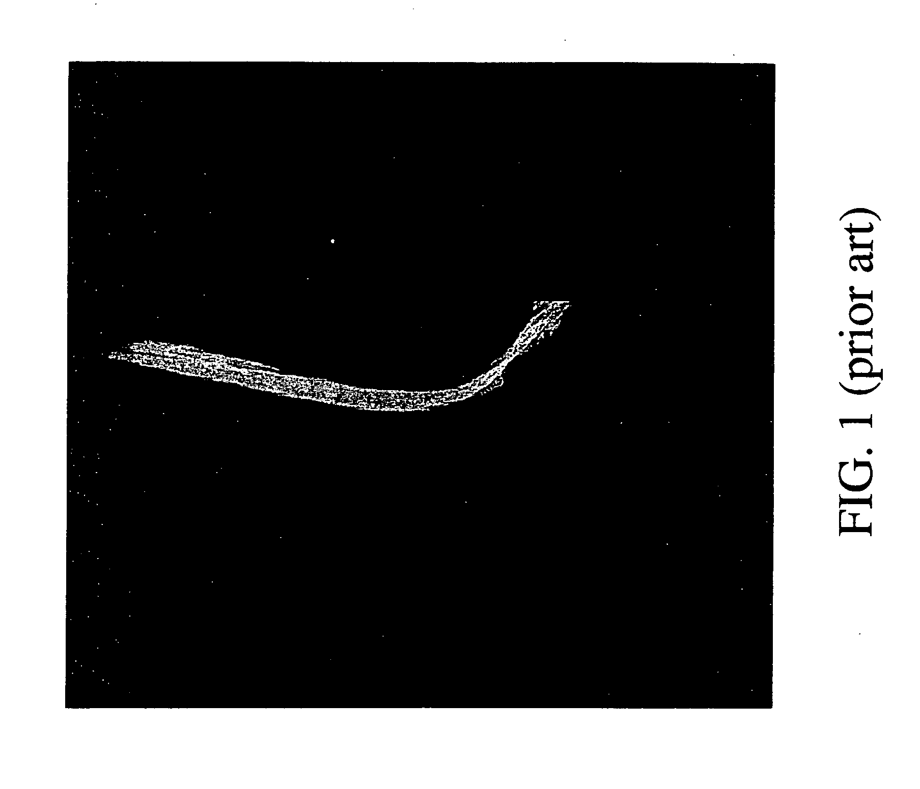 Method and system for digital image processing