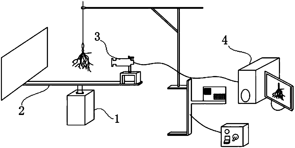 Method and system for measuring spatial distribution of plant root system