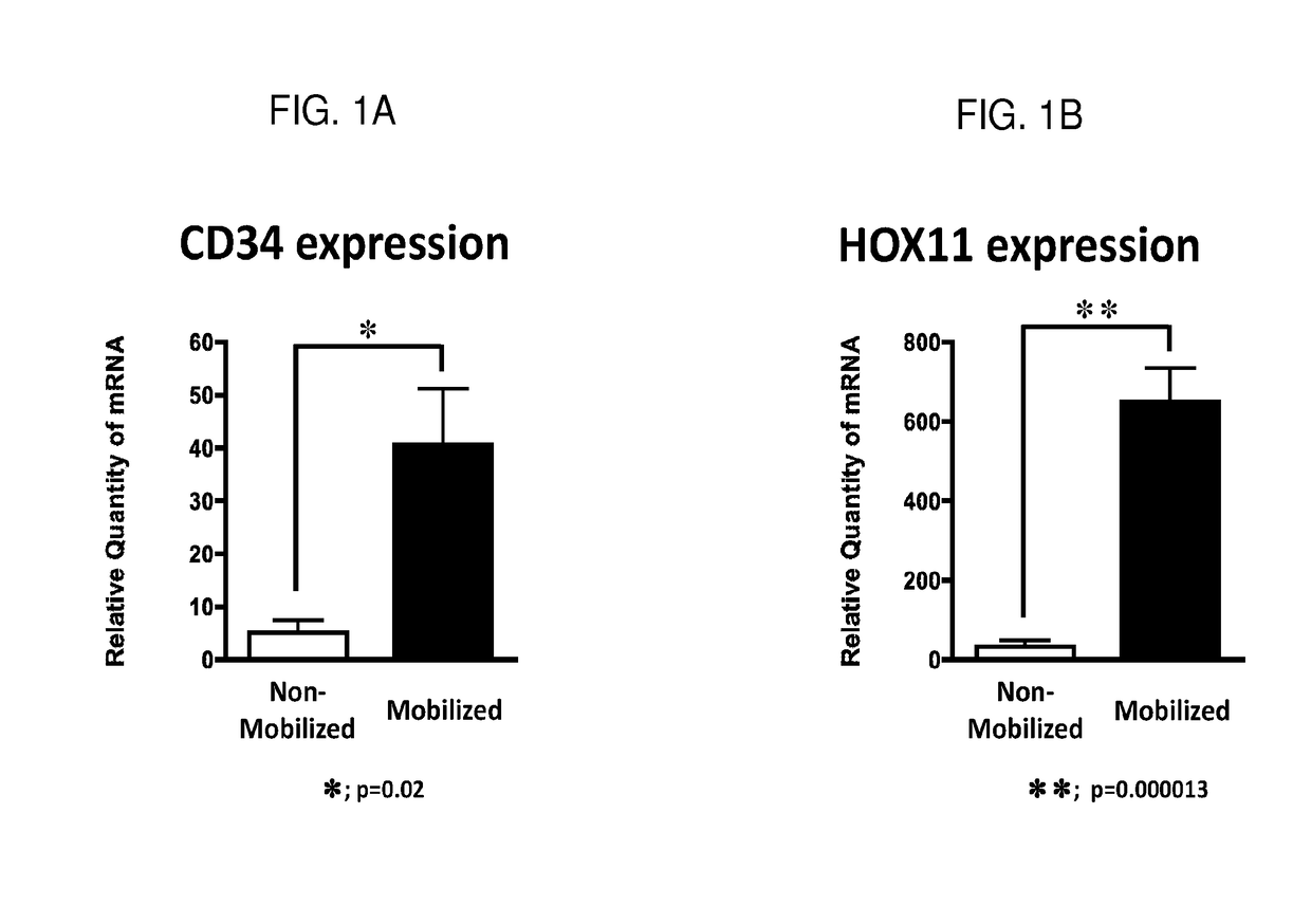 Compositions enriched for hox11+ stem cells and methods of preparing the same