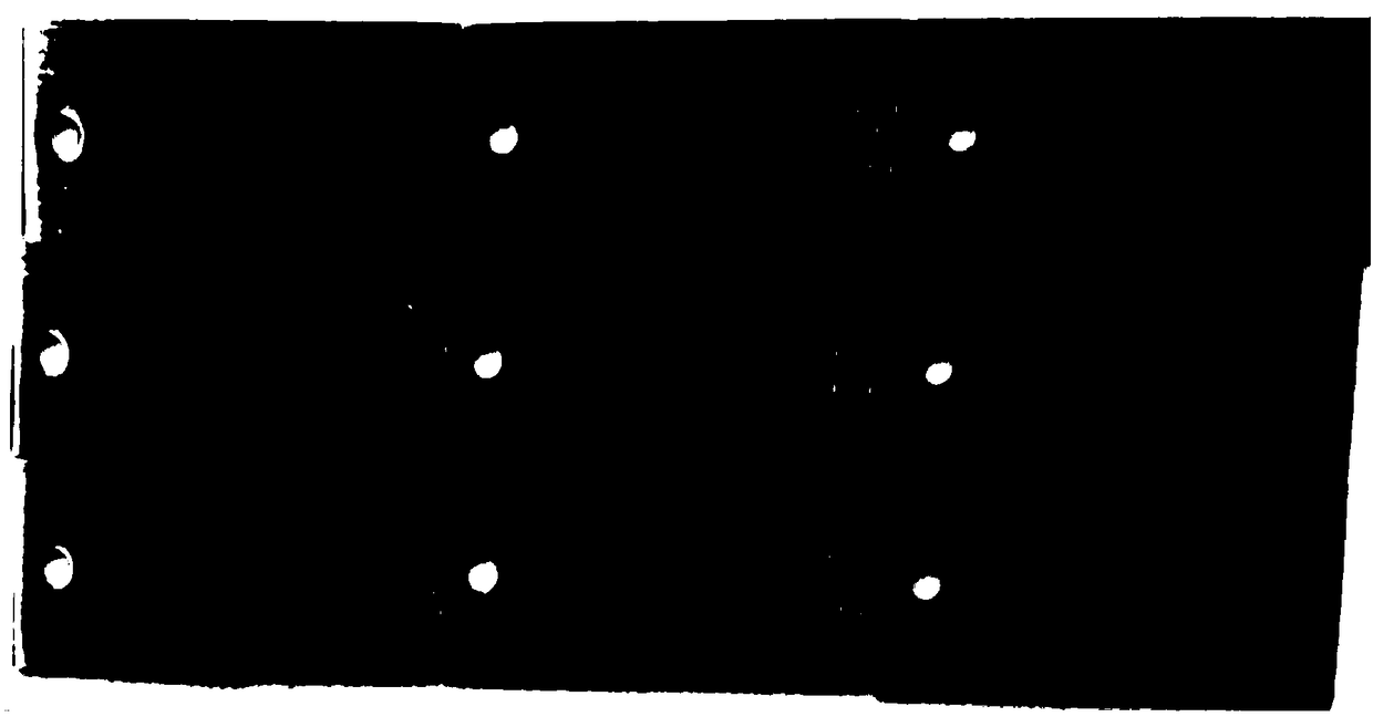 Novel corrosion and scale inhibitor, and preparation method and application thereof