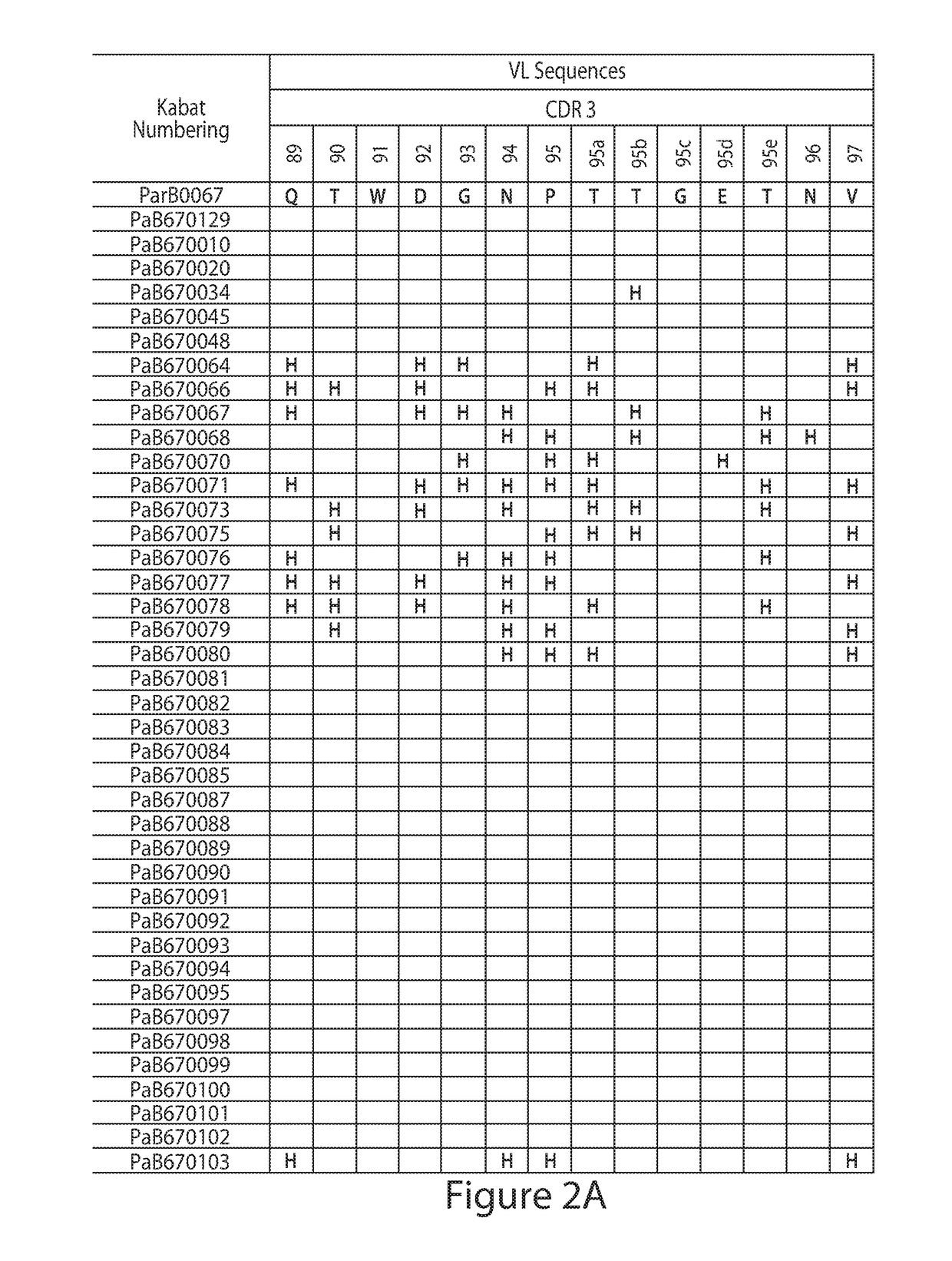 Anti-par2 antibodies and uses thereof