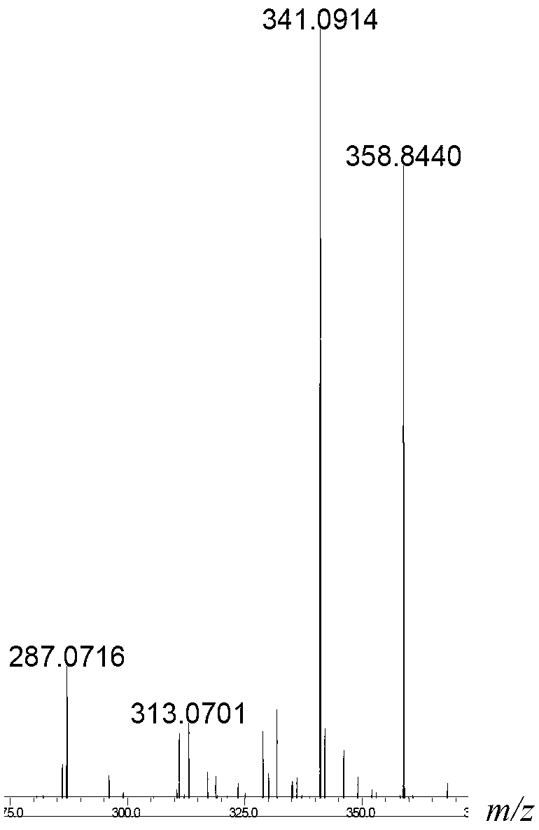 Beta-galactosidase with broadened nucleoside substrate specificity