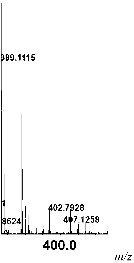 Beta-galactosidase with broadened nucleoside substrate specificity