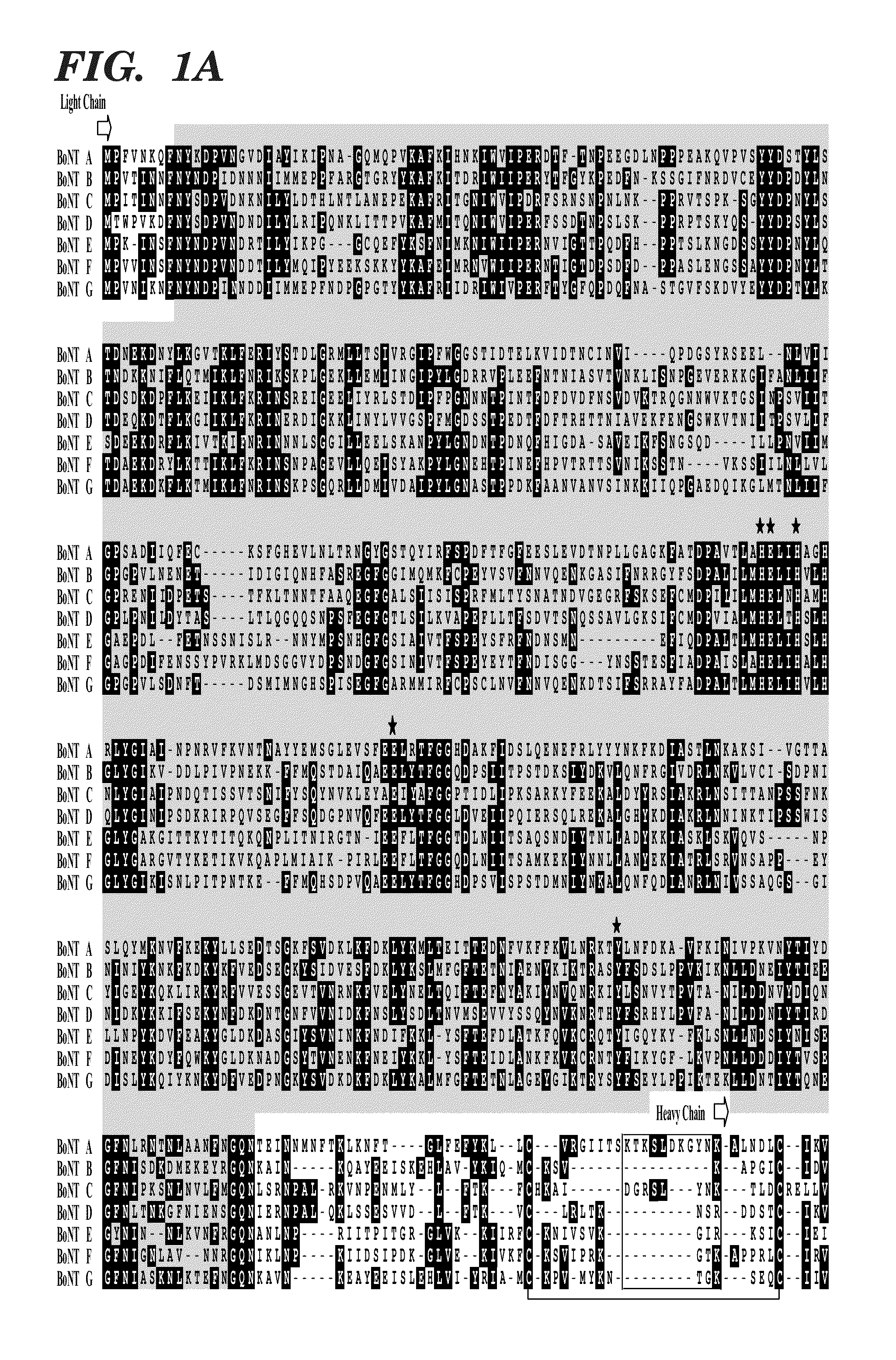 Treatment methods using atoxic neurotoxin derivatives