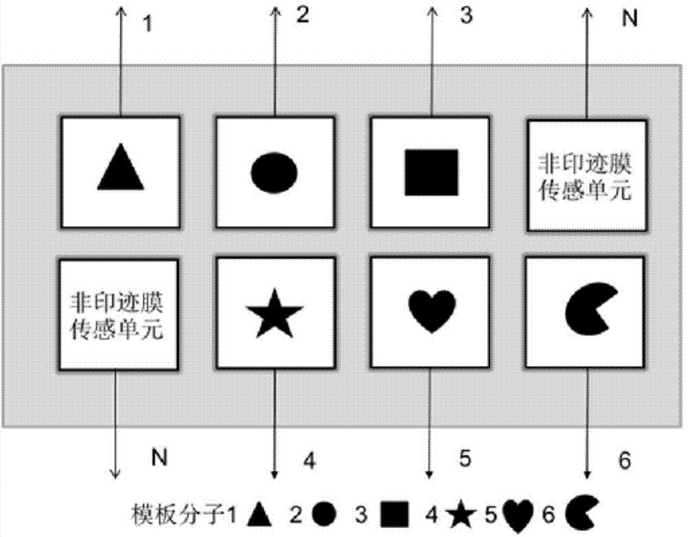 Electrochemical luminescence sensor array, and preparation method and application thereof